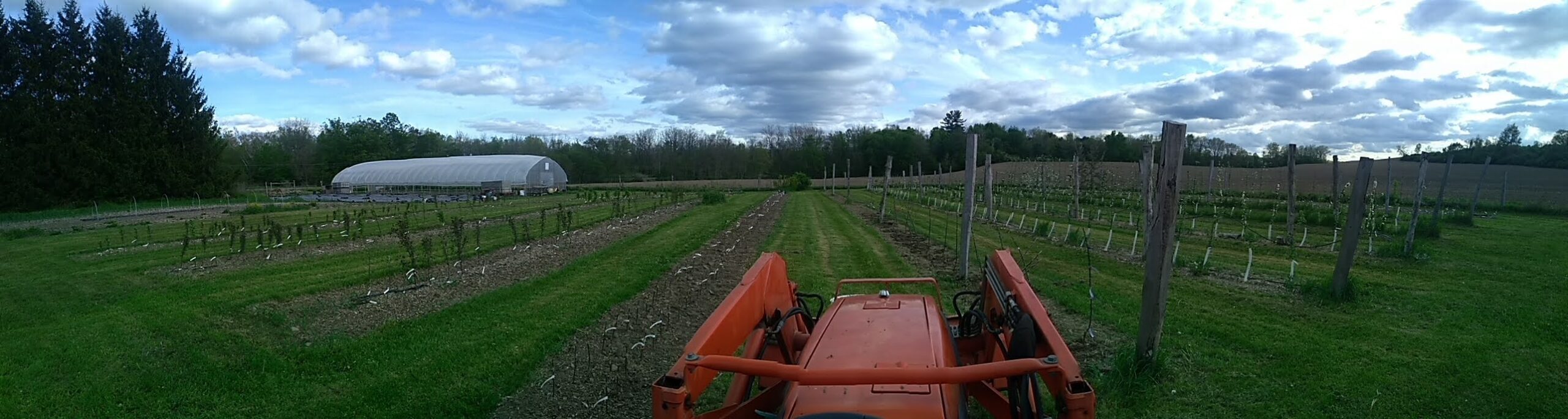 Perry City Orchard and Nursery